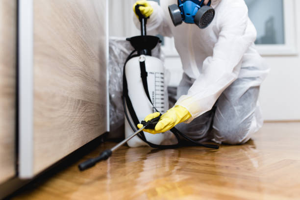 Best Wasp Removal Services  in Monroe, NC