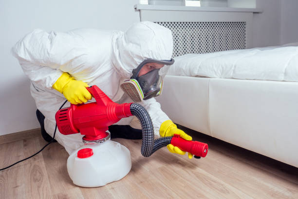 Best Wasp Removal Services  in Monroe, NC