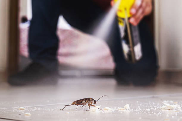 Best Affordable Pest Control Services  in Monroe, NC